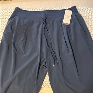 Slate Blue Jogger Pants mid rise wide leg